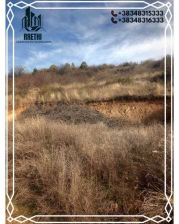 Property #23393 thumbnail 1