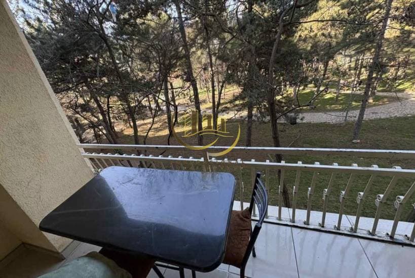 Property #44228 thumbnail 4