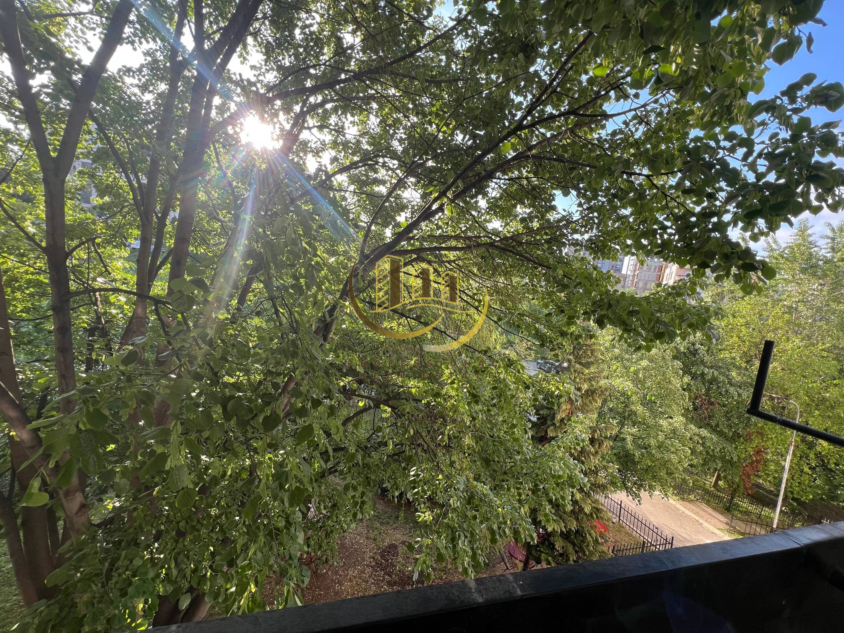 Property #51342 thumbnail 2