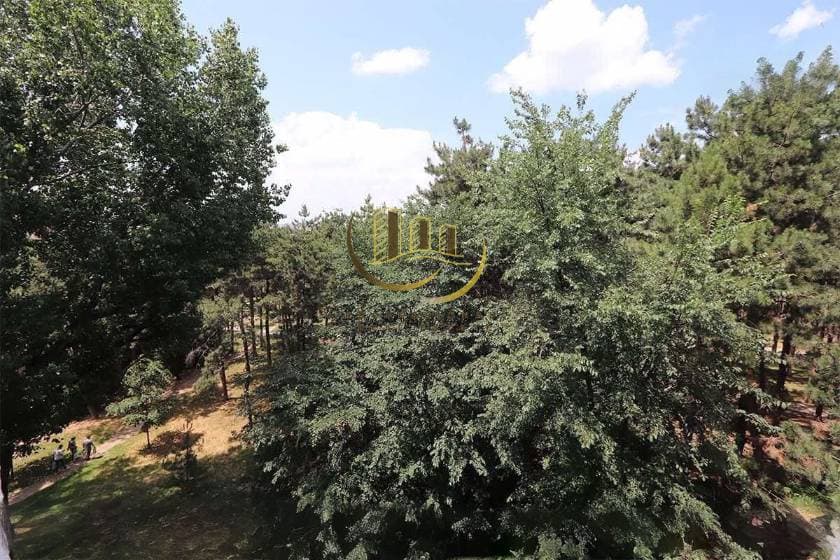 Property #43322 thumbnail 3