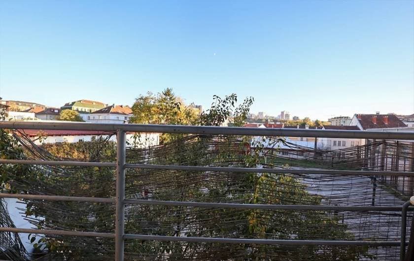 Property #50376 thumbnail 3