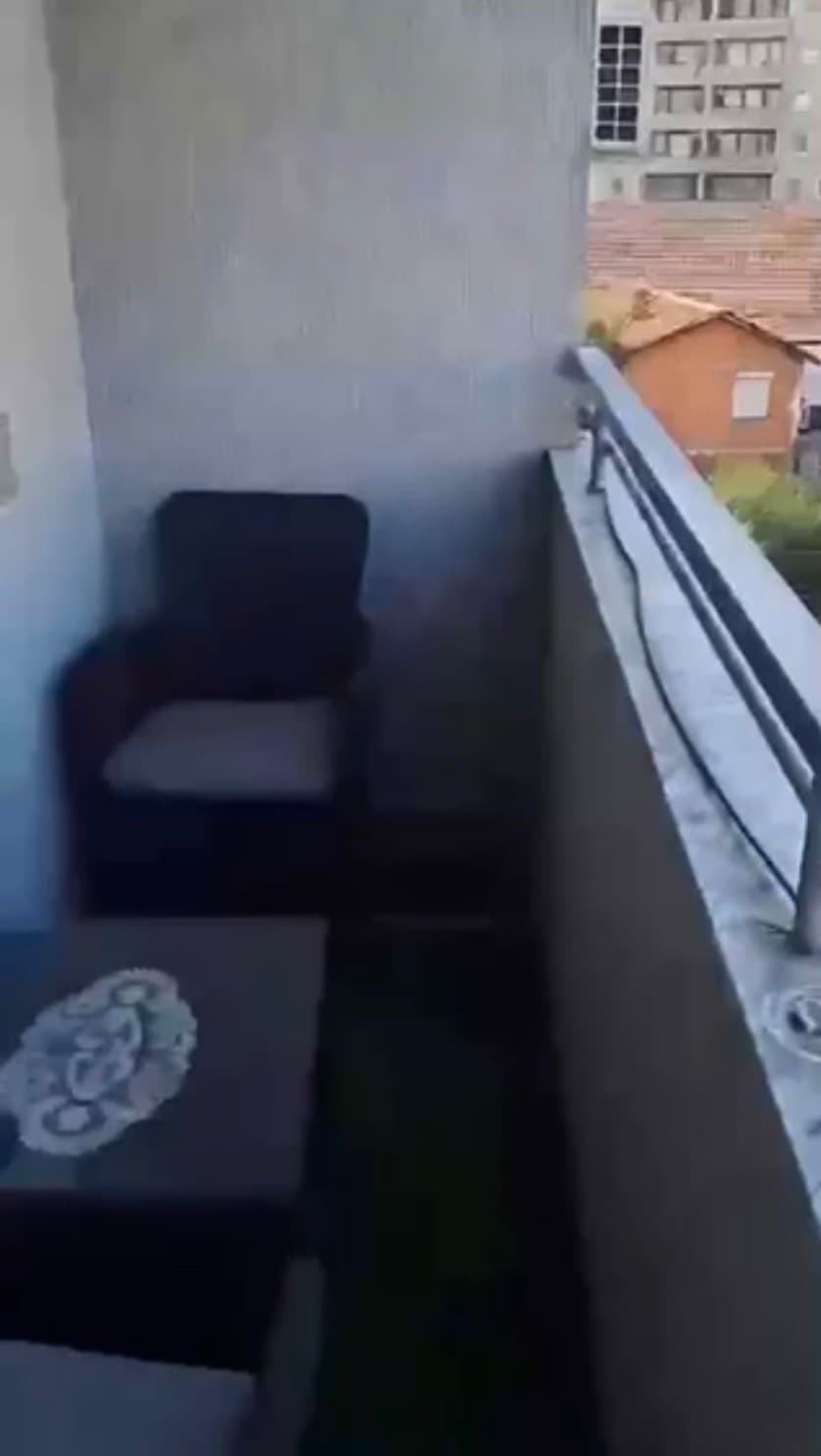 Property #51540 thumbnail 7