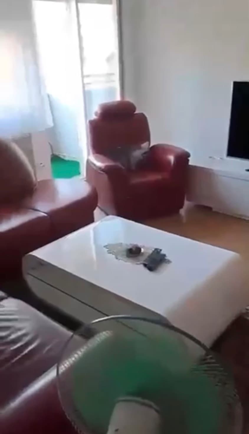 Property #51540 thumbnail 9