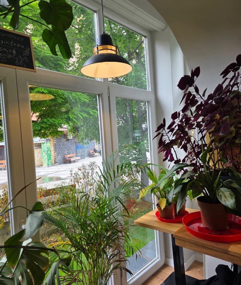 restaurant in Prishtine, qafa neighborhood thumbnail 2