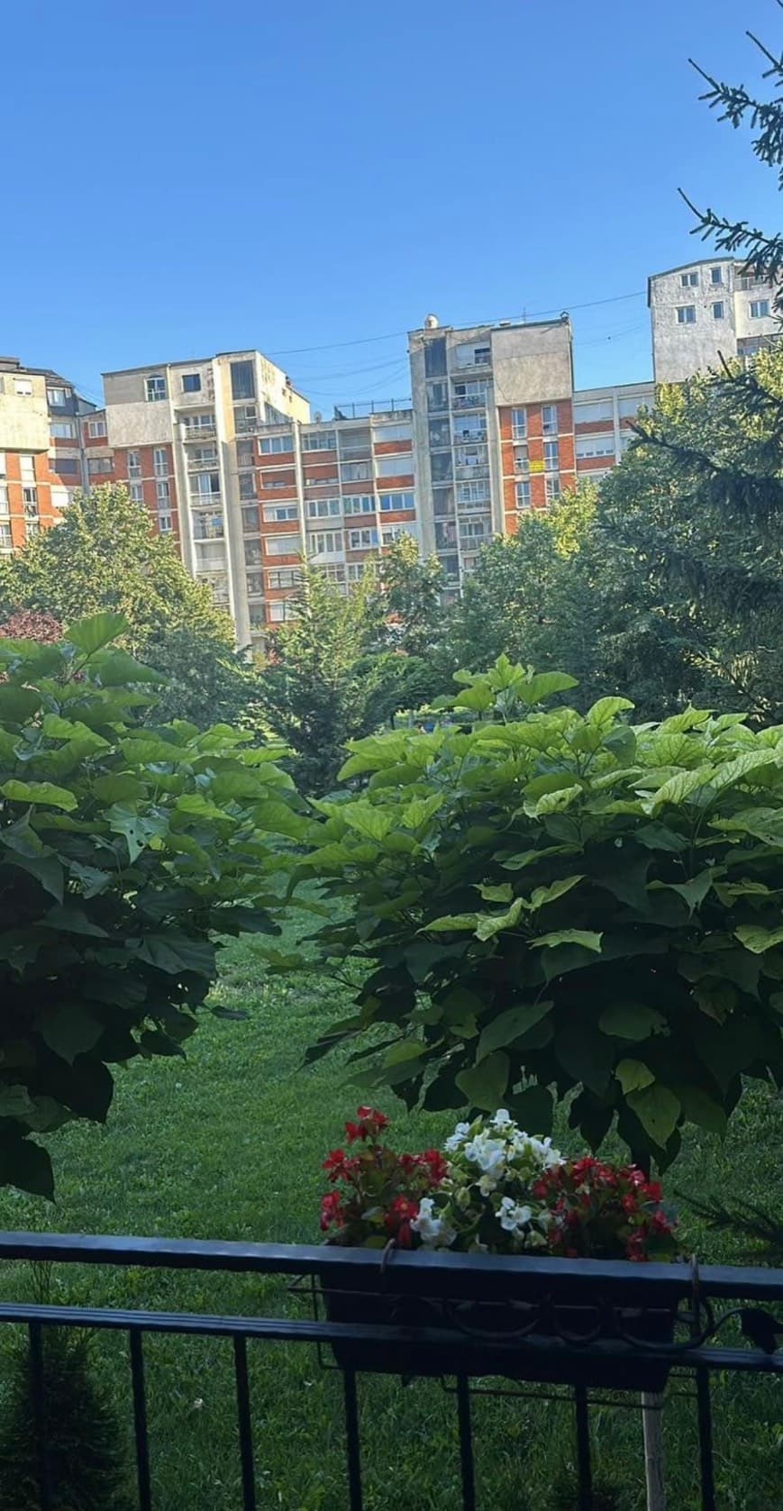 Property #28751 thumbnail 2