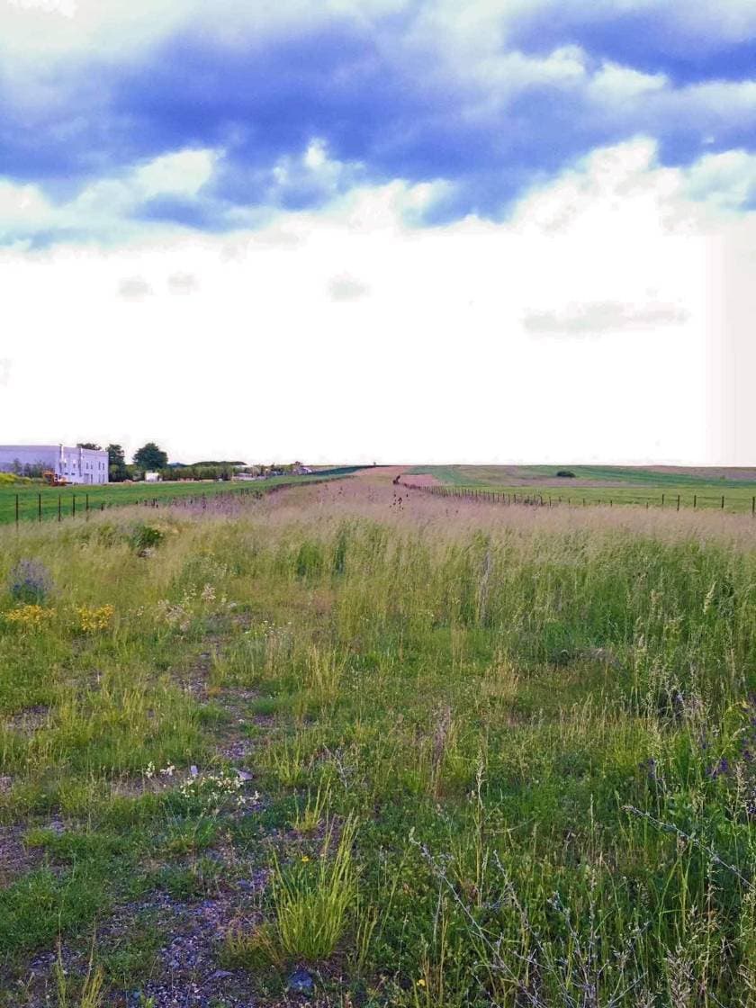 Property #24427 thumbnail 1